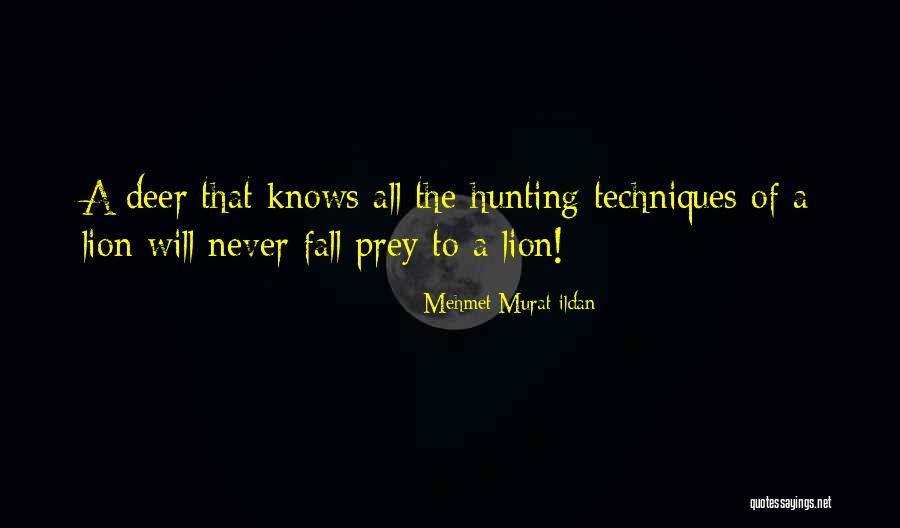 Silvini Ferrato Quotes By Mehmet Murat Ildan Silvini Ferrato Quotes By Mehmet Murat Ildan