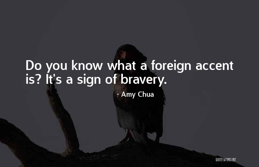 Simbolica Significado Quotes By Amy Chua Simbolica Significado Quotes By Amy Chua