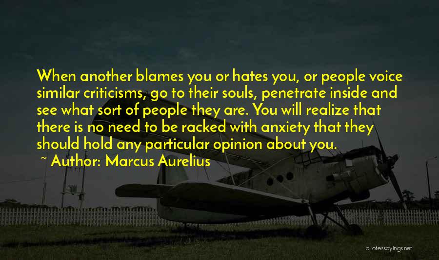 Similar Souls Quotes By Marcus Aurelius