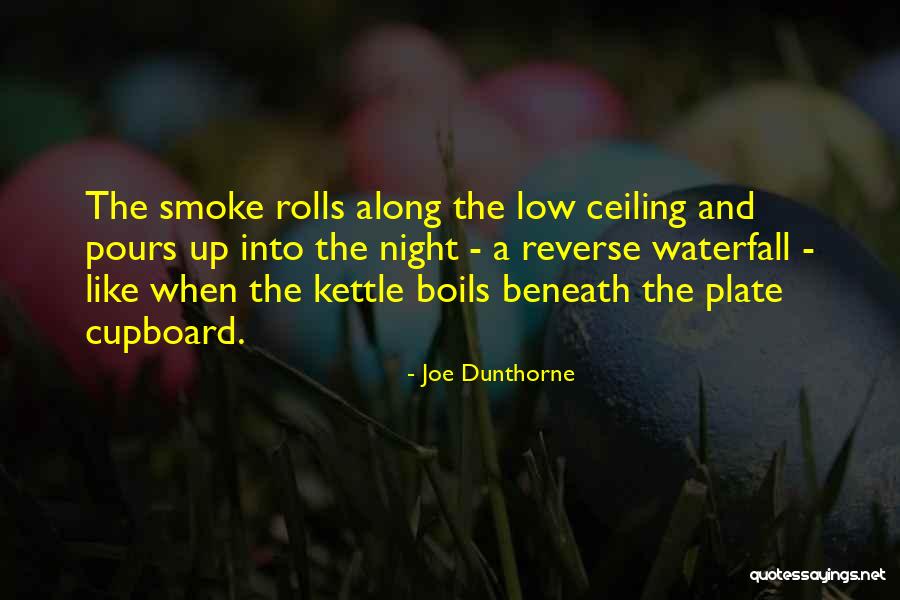 Similies Quotes By Joe Dunthorne Similies Quotes By Joe Dunthorne