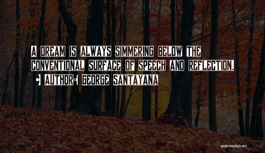 Simmering Quotes By George Santayana