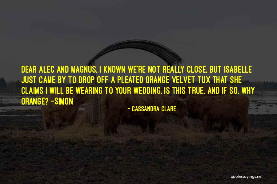 Simon And Isabelle Quotes By Cassandra Clare Simon And Isabelle Quotes By Cassandra Clare