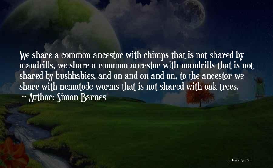 Simon Barnes Quotes 759252