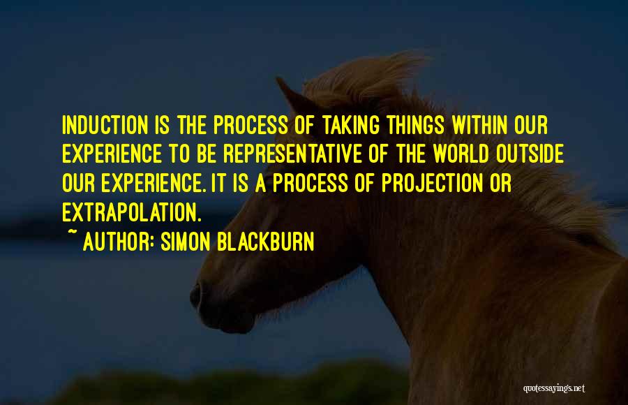 Simon Blackburn Quotes 419854