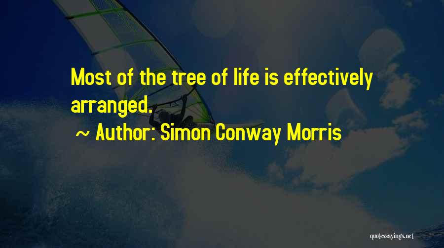 Simon Conway Morris Quotes 1785215