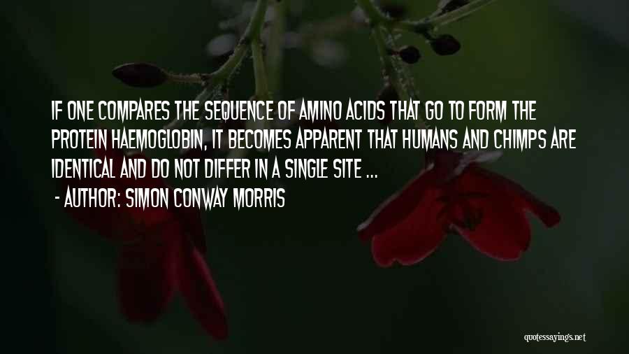 Simon Conway Morris Quotes 363970