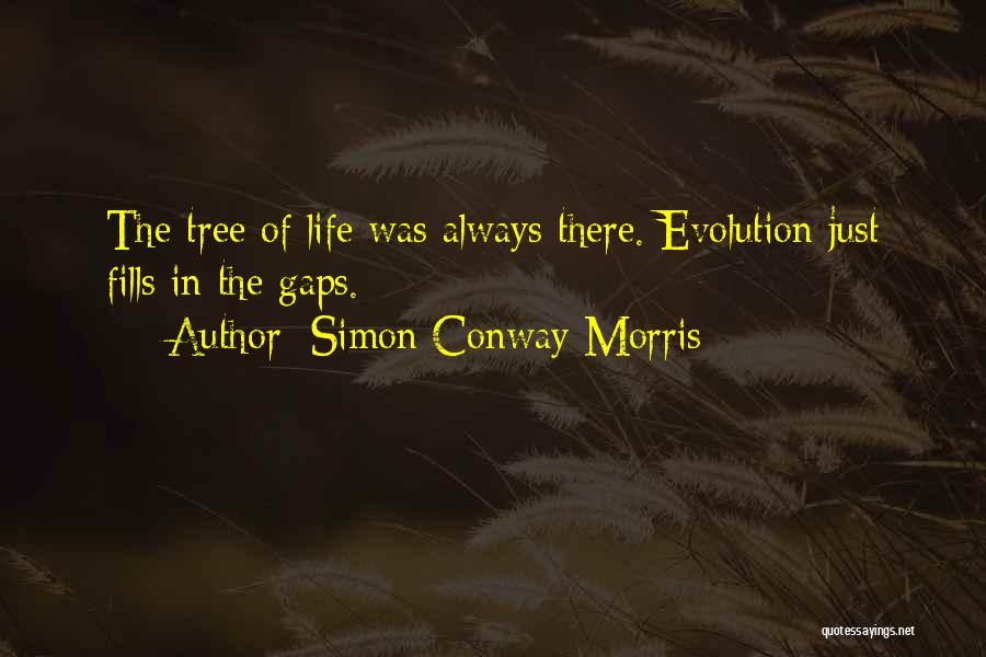 Simon Conway Morris Quotes 867389