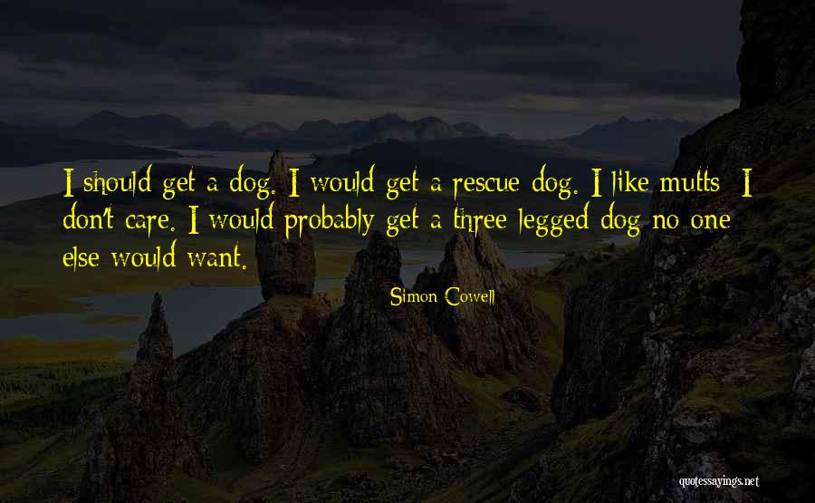 Simon Cowell Quotes 229733 Simon Cowell Quotes 229733