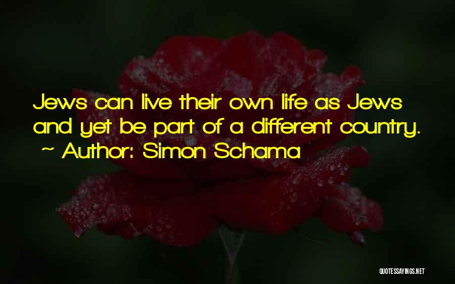 Simon Schama Quotes 1398486