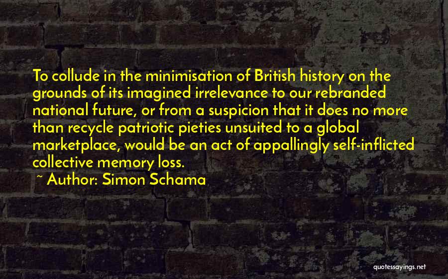 Simon Schama Quotes 1431080