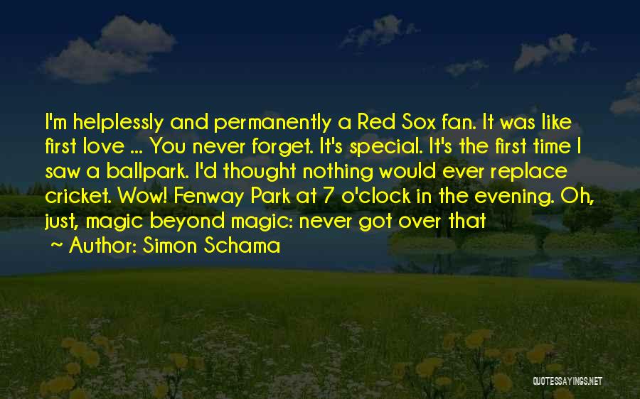 Simon Schama Quotes 144748