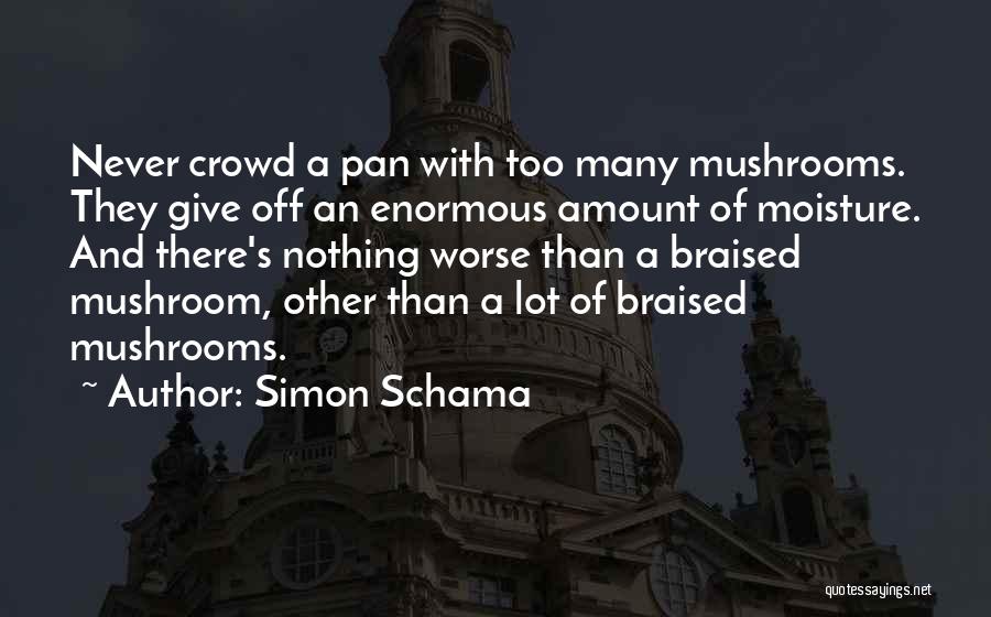 Simon Schama Quotes 1729431