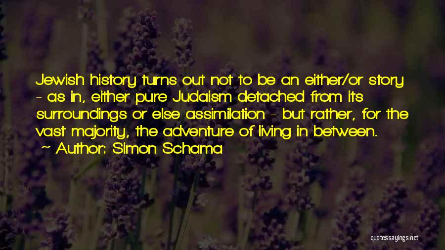 Simon Schama Quotes 2085506
