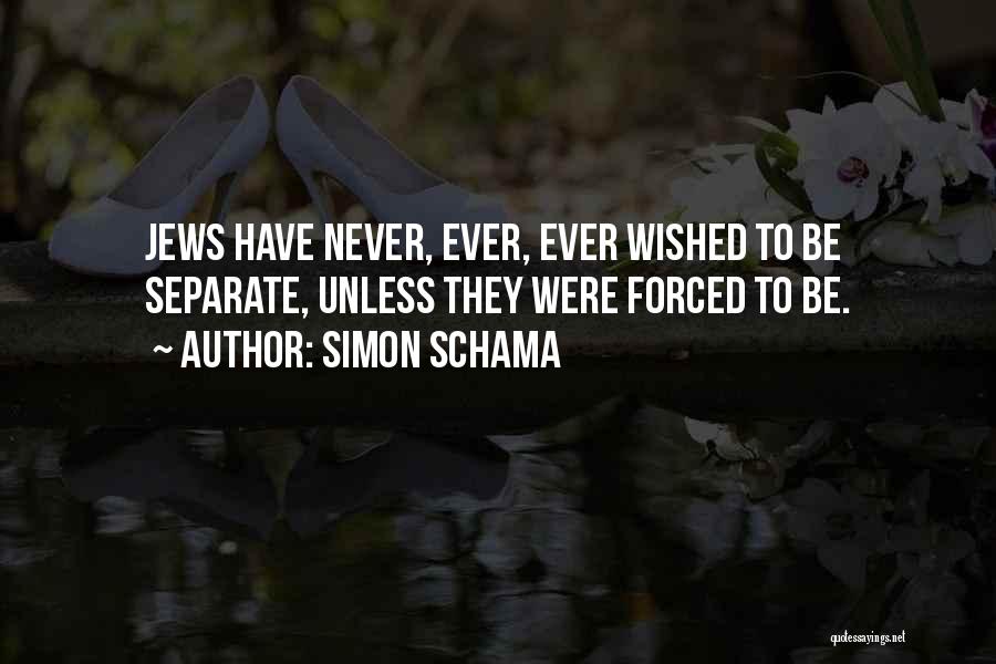 Simon Schama Quotes 387095
