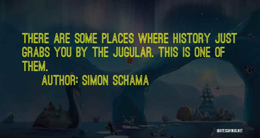 Simon Schama Quotes 711506