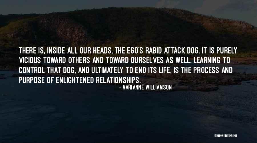 Simon Sinek Start With Why Quotes By Marianne Williamson Simon Sinek Start With Why Quotes By Marianne Williamson