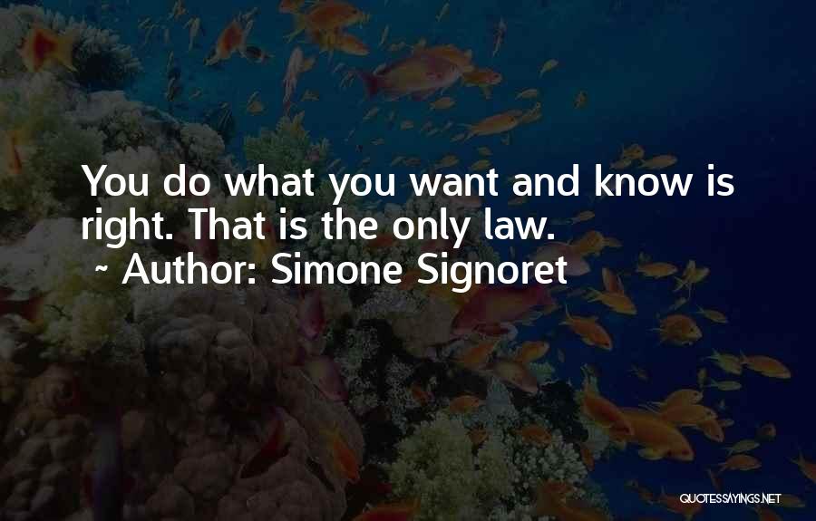 Simone Signoret Quotes 2135277