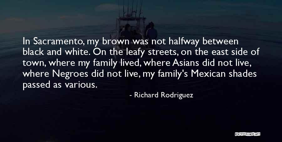 Simonenko Quotes By Richard Rodriguez Simonenko Quotes By Richard Rodriguez