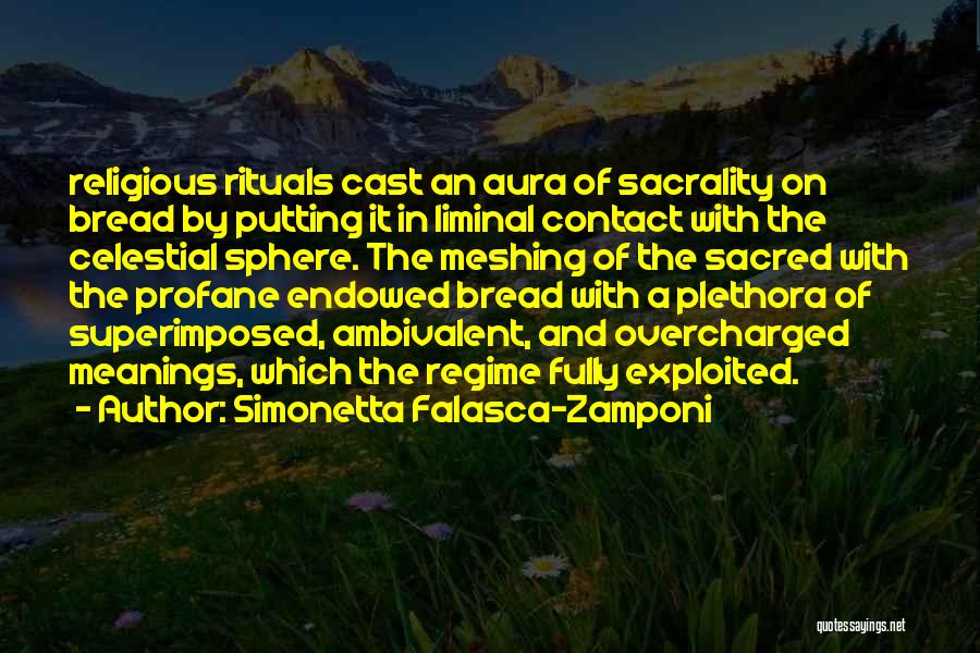 Simonetta Falasca-Zamponi Quotes 373917