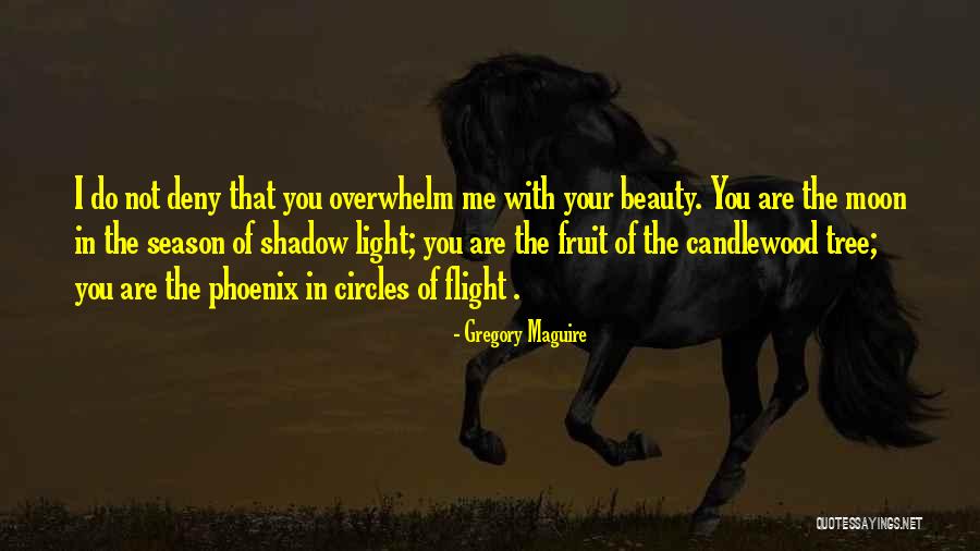 Simonette Clothing Quotes By Gregory Maguire Simonette Clothing Quotes By Gregory Maguire