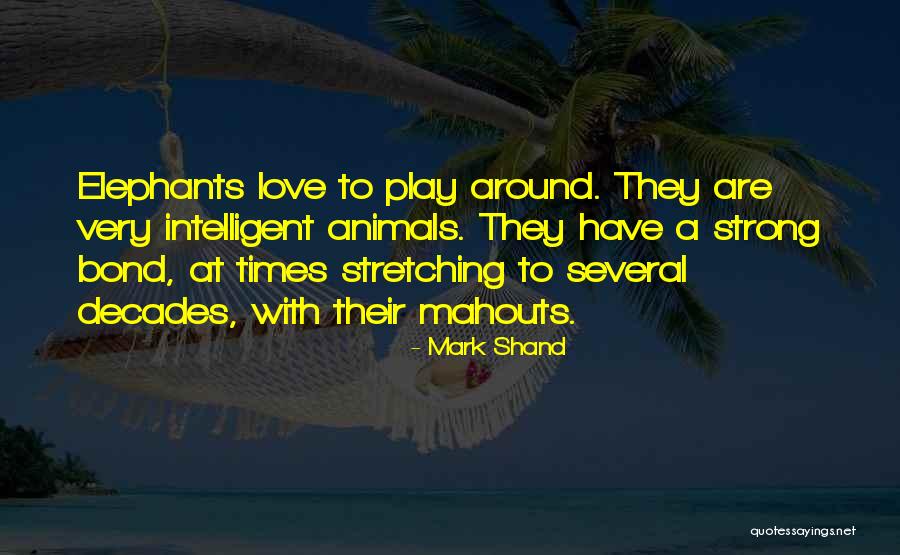 Simpatias De Santo Quotes By Mark Shand Simpatias De Santo Quotes By Mark Shand