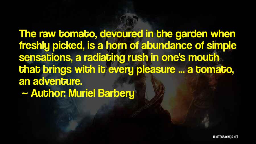 Simple Abundance Quotes By Muriel Barbery