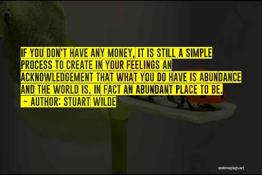 Simple Abundance Quotes By Stuart Wilde