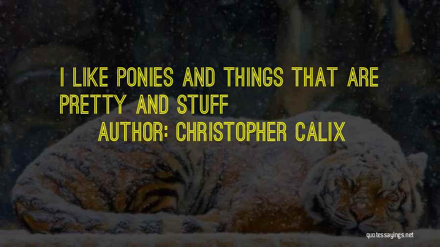 Simple And Pretty Quotes By Christopher Calix