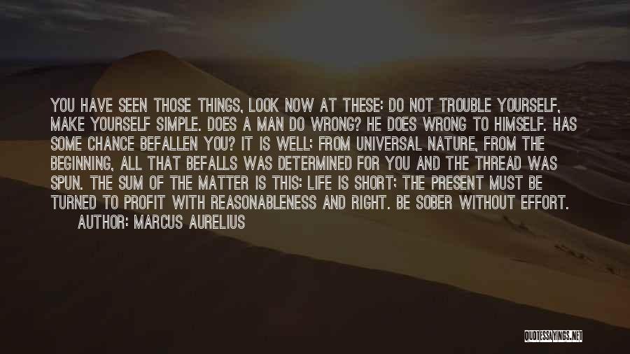 Simple And Sober Quotes By Marcus Aurelius