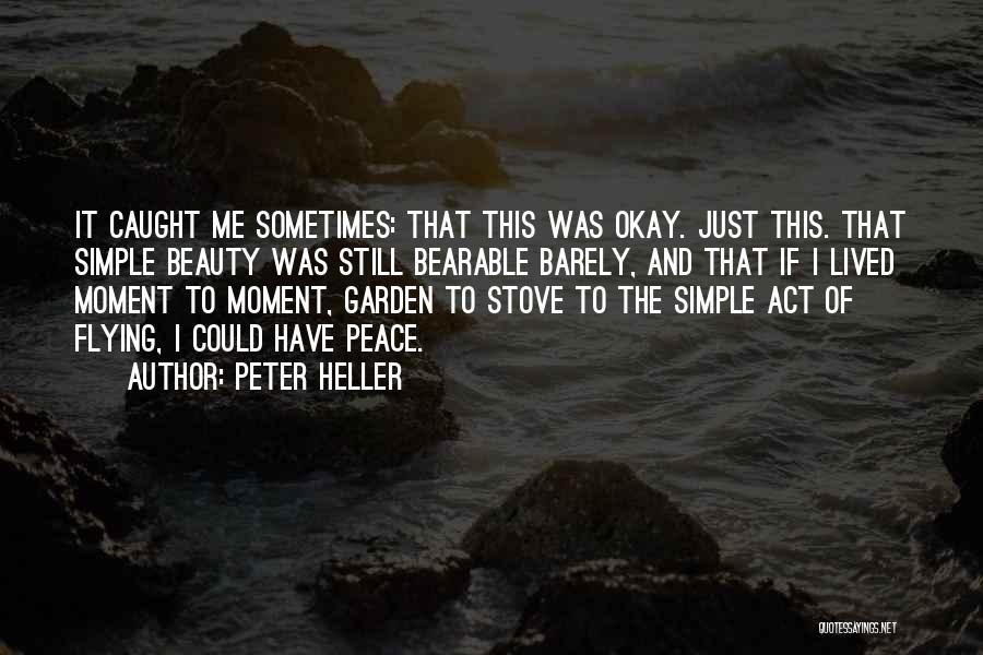 Simple Beauty Quotes By Peter Heller