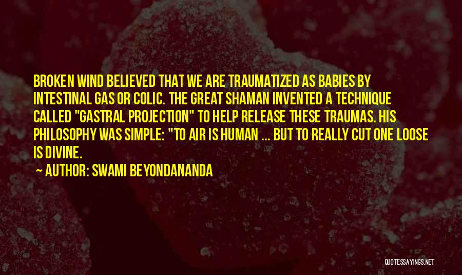 Simple But Great Quotes By Swami Beyondananda