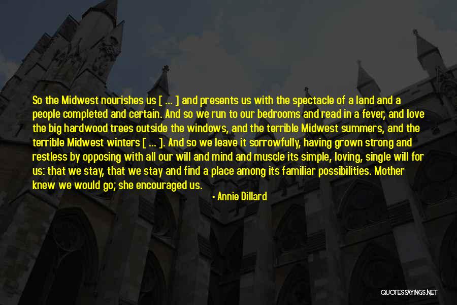 Simple But Terrible Quotes By Annie Dillard Simple But Terrible Quotes By Annie Dillard