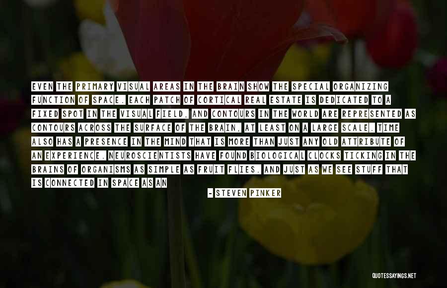 Simple Gesture Quotes By Steven Pinker Simple Gesture Quotes By Steven Pinker
