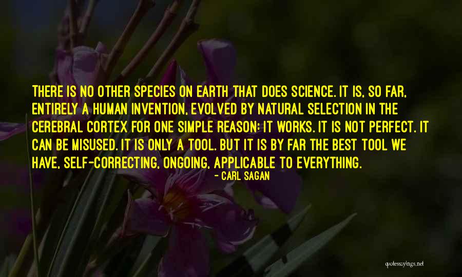 Simple Is Perfect Quotes By Carl Sagan Simple Is Perfect Quotes By Carl Sagan