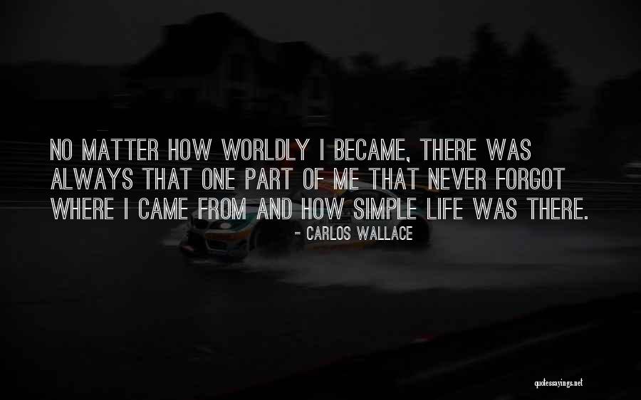 Simple Life Philosophy Quotes By Carlos Wallace Simple Life Philosophy Quotes By Carlos Wallace