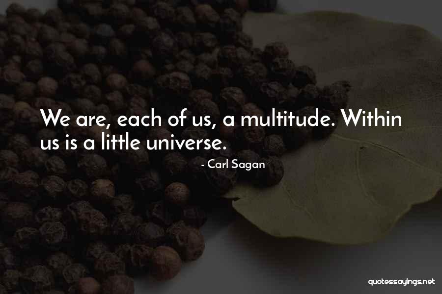 Simple Living And High Thinking Quotes By Carl Sagan Simple Living And High Thinking Quotes By Carl Sagan