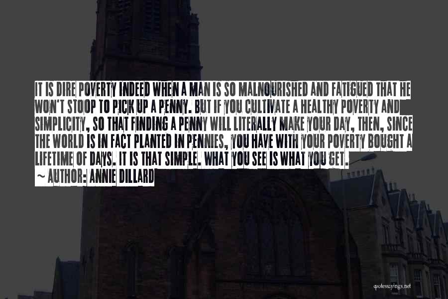 Simple Man Quotes By Annie Dillard