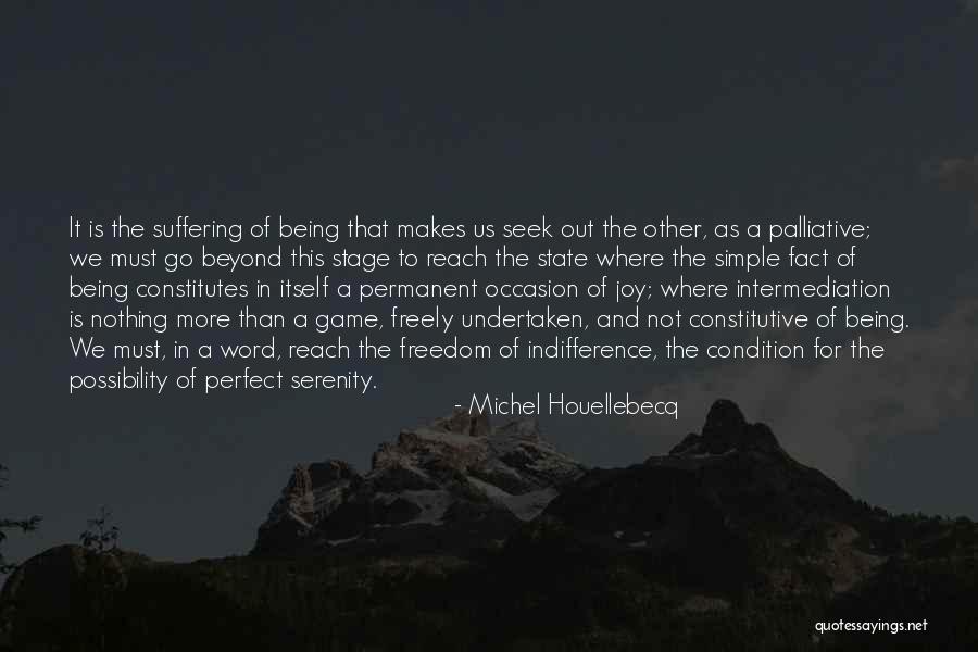 Simple Occasion Quotes By Michel Houellebecq