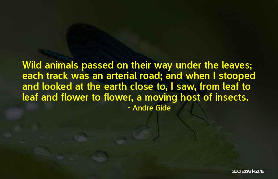 Simple Organizational Structure Quotes By Andre Gide Simple Organizational Structure Quotes By Andre Gide