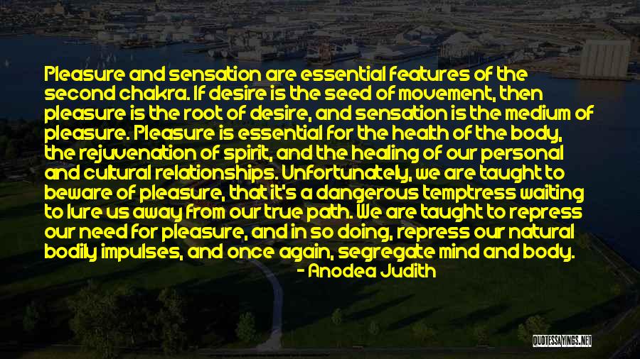 Simple Pleasure Quotes By Anodea Judith