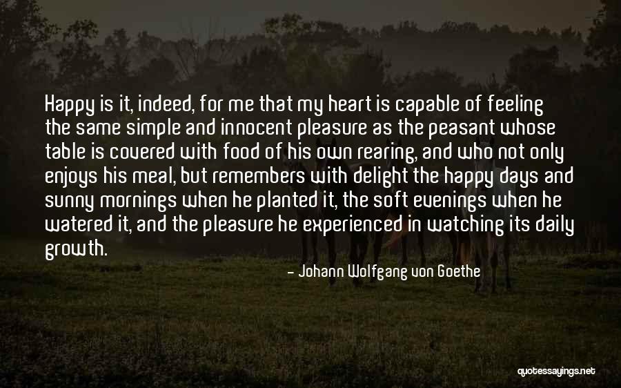 Simple Pleasure Quotes By Johann Wolfgang Von Goethe