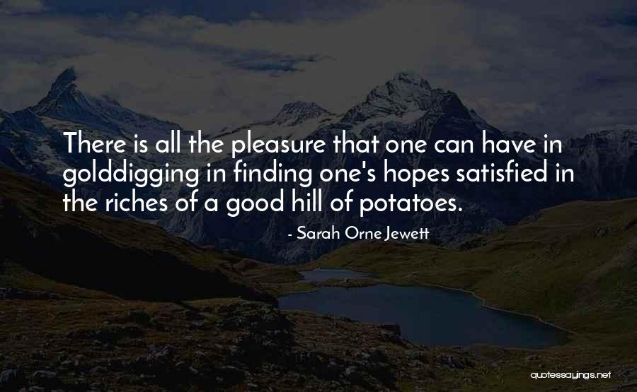 Simple Pleasure Quotes By Sarah Orne Jewett