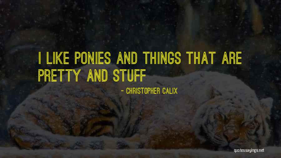 Simple Pleasures Quotes By Christopher Calix