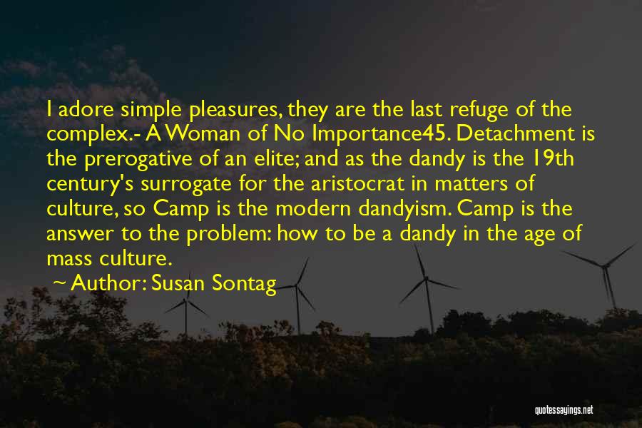 Simple Pleasures Quotes By Susan Sontag
