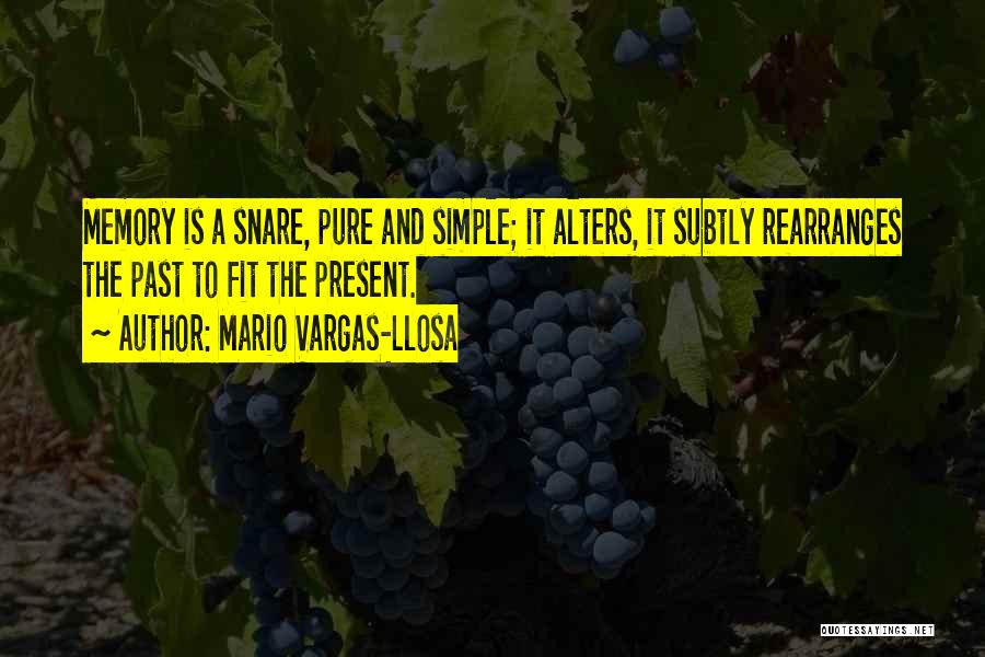 Simple Pure Quotes By Mario Vargas-Llosa