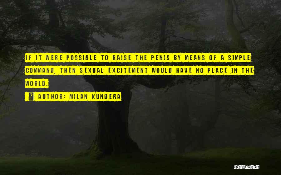 Simple Quotes By Milan Kundera