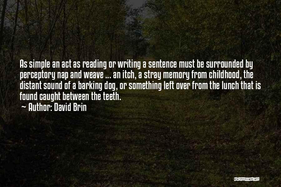 Simple Sentence Quotes By David Brin