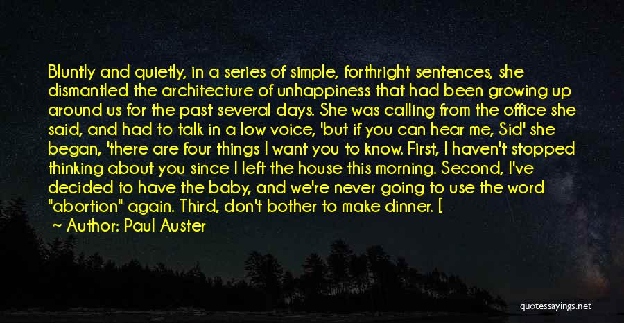 Simple Sentences Quotes By Paul Auster