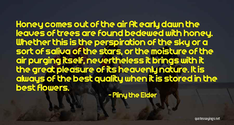 Simple Strategies Quotes By Pliny The Elder Simple Strategies Quotes By Pliny The Elder