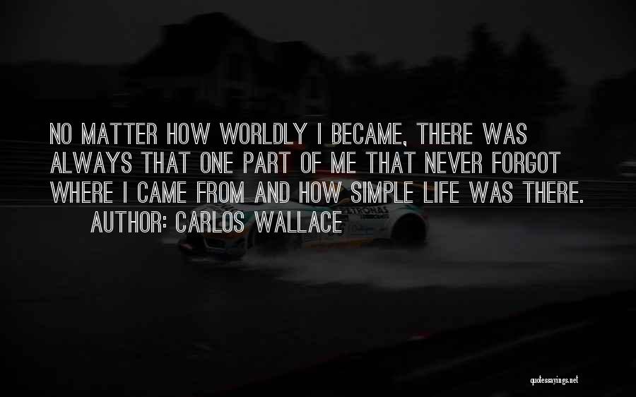 Simple Things Matter Most Quotes By Carlos Wallace